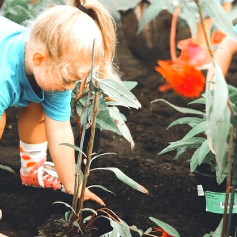 Blonde child planting flowers