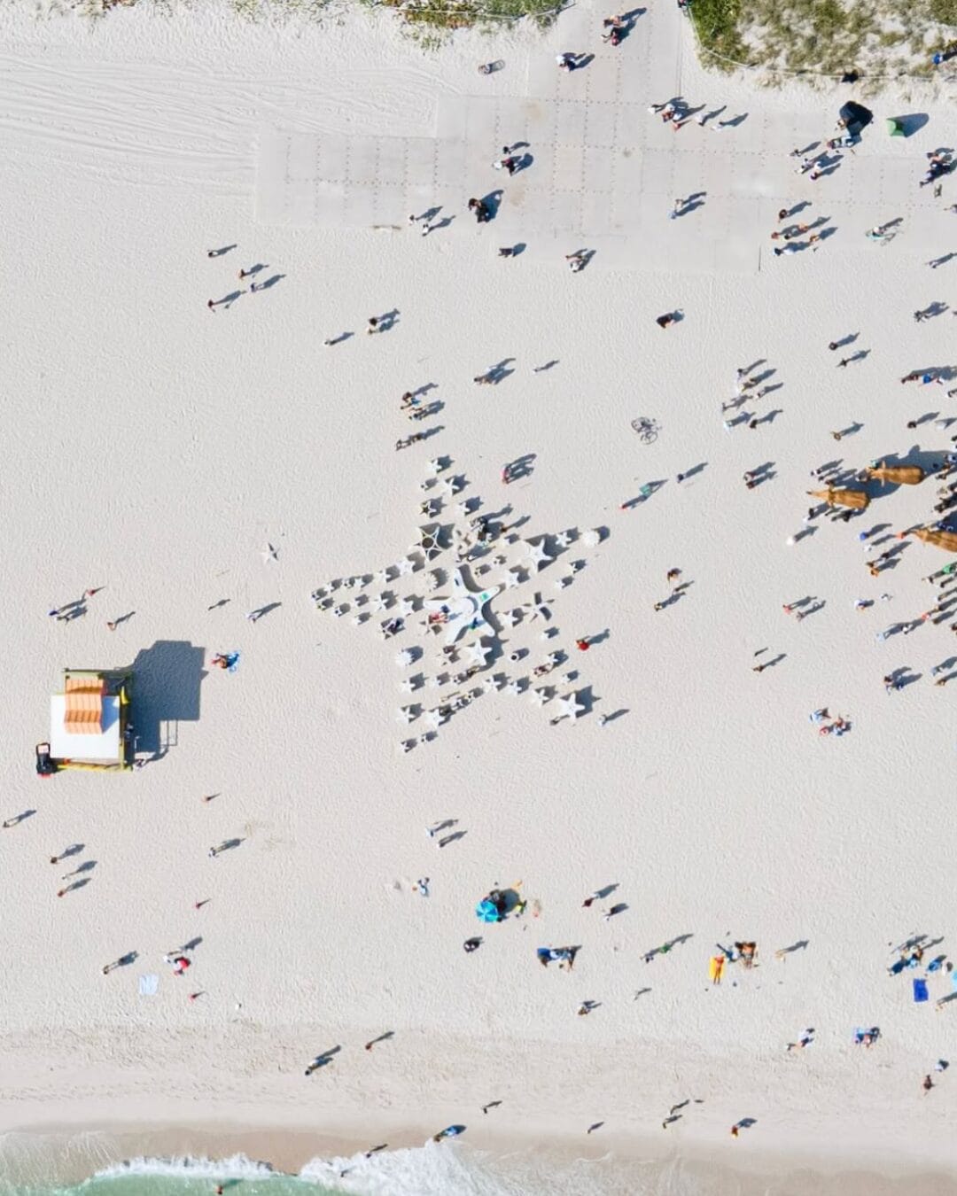 Miami Reef Star on Miami Beach during Miami Art Week 2024 next to The Great Elephant Migration.