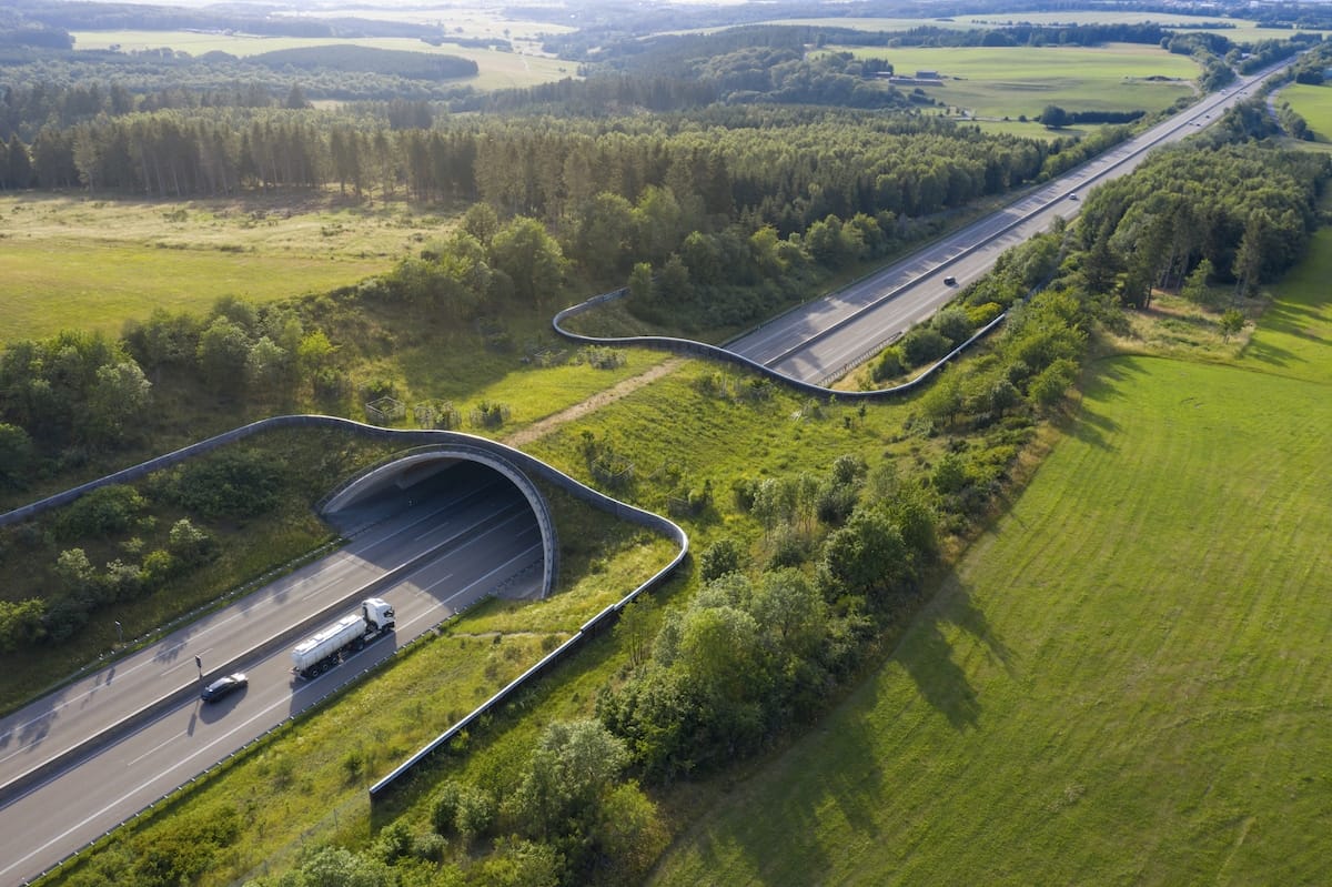 A green bridge allows animals to cross the Autobahn A1 safely – Eifel region, Rhineland-Palatinate, Germany
