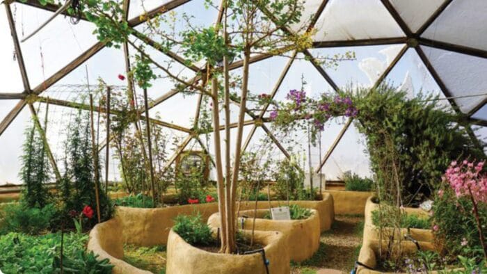 Designing Tomorrow: Bioregional Hubs