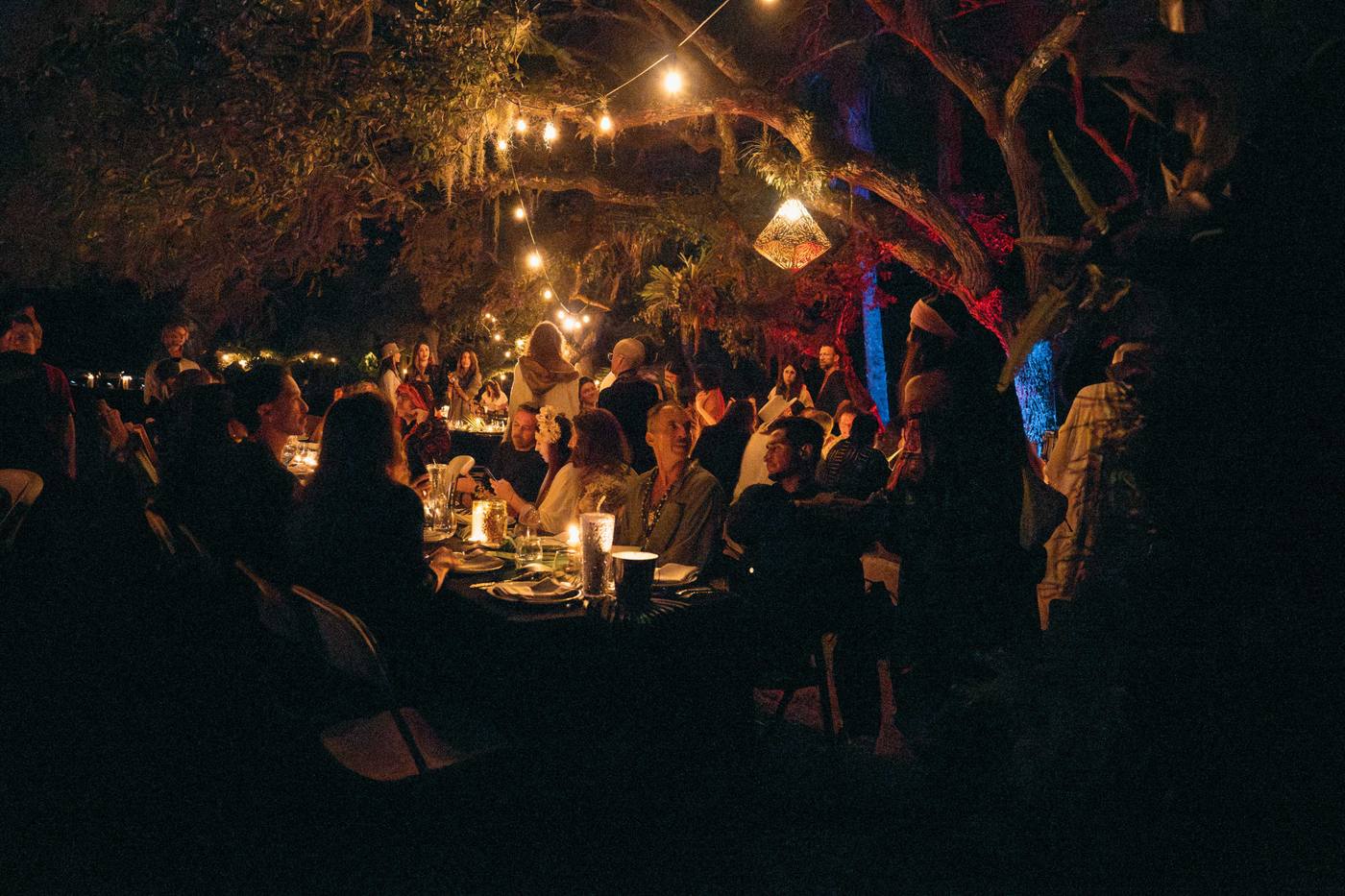 Dinner under the oaks and string lights
