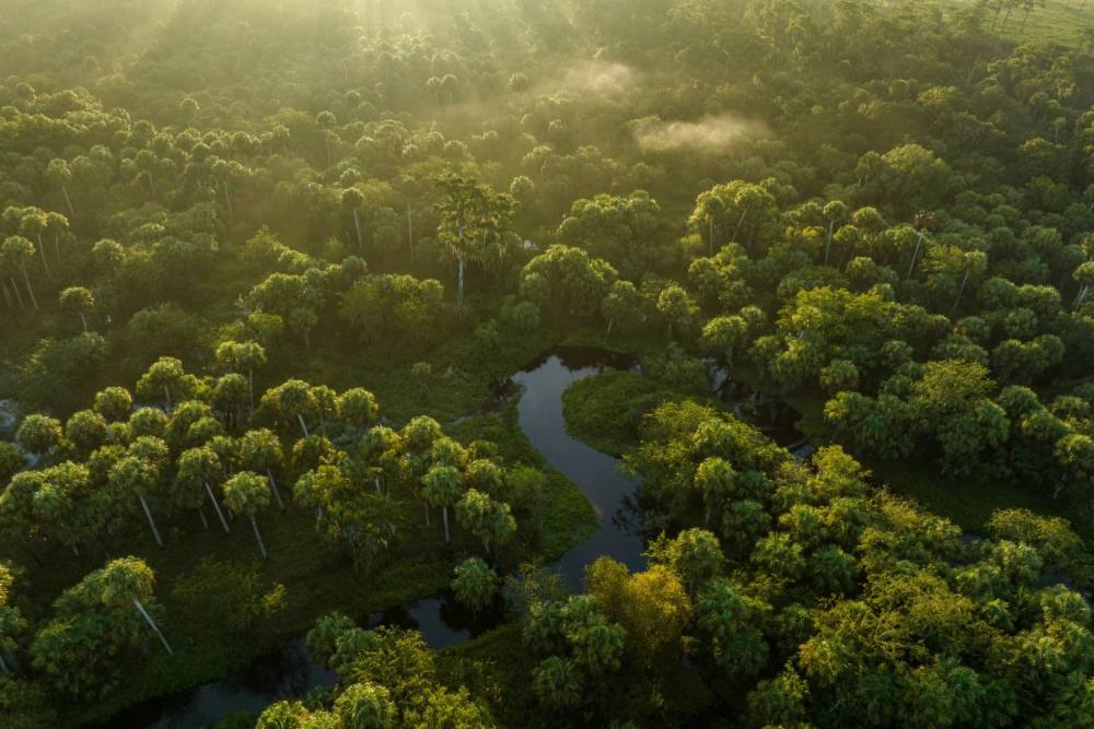 Aerial view of the river winding through the preserve beside ChoZen