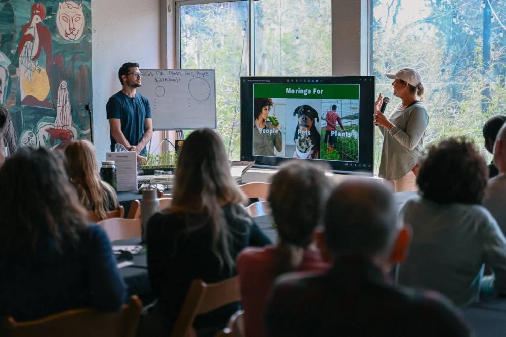 Retreat group watching a moringa presentation on screen at ChoZen
