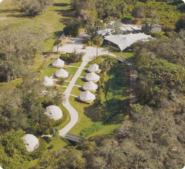 Aerial view of the Safari Camp tents among the pines at ChoZen