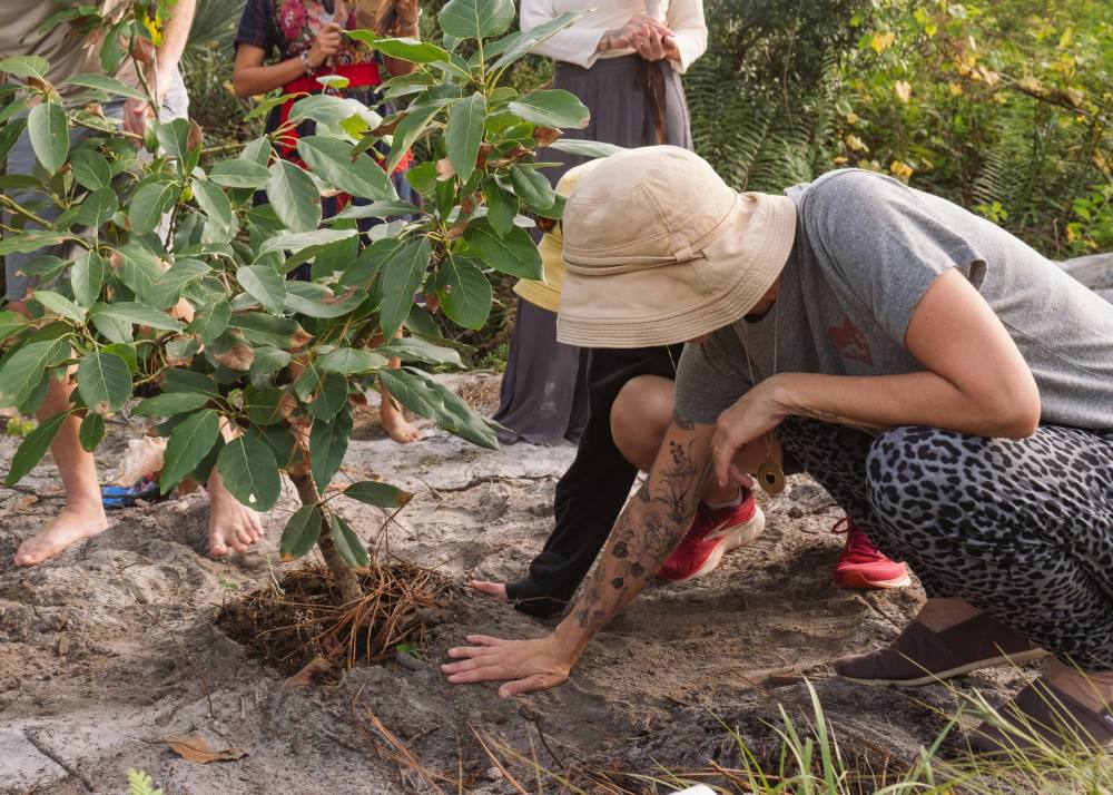 Planting at ChoZen
