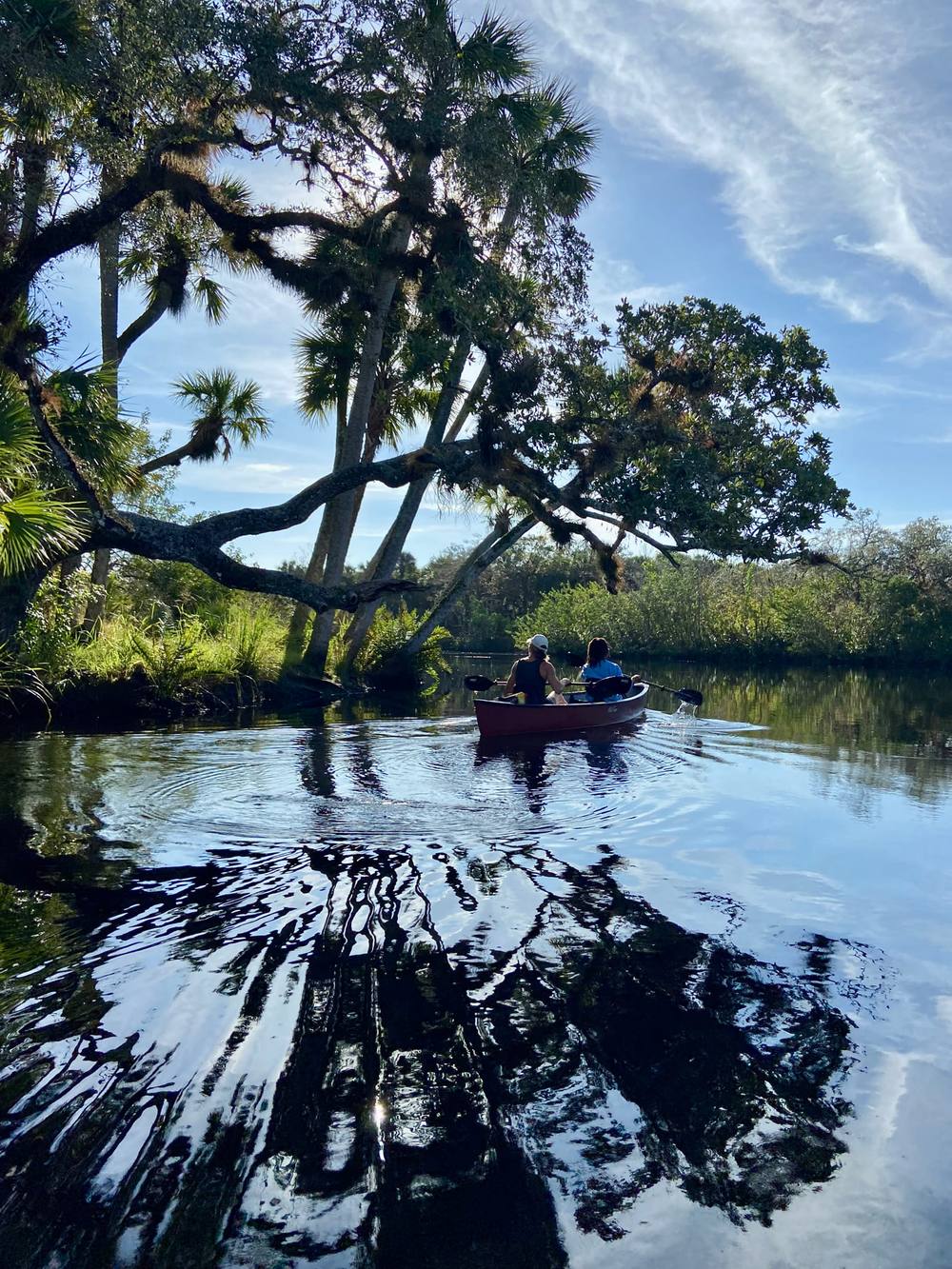 Two paddlers canoeing a calm river beneath palms and live oaks near ChoZen