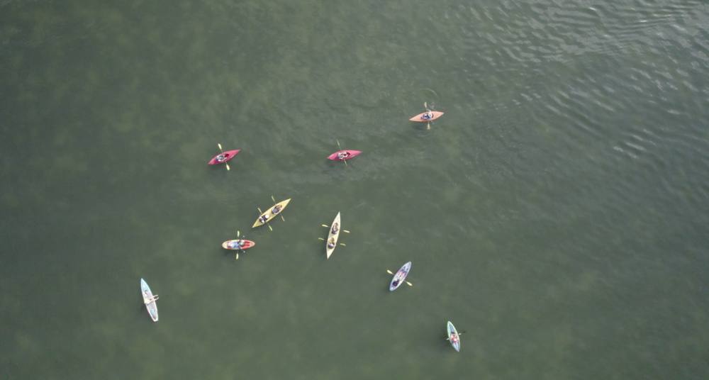 Aerial view of colorful kayaks on the water during a ChoZen marine discovery kayak tour